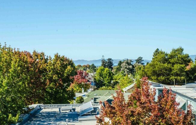 3 beds, 2 baths, 1,035 sqft, $3,995, Unit 302