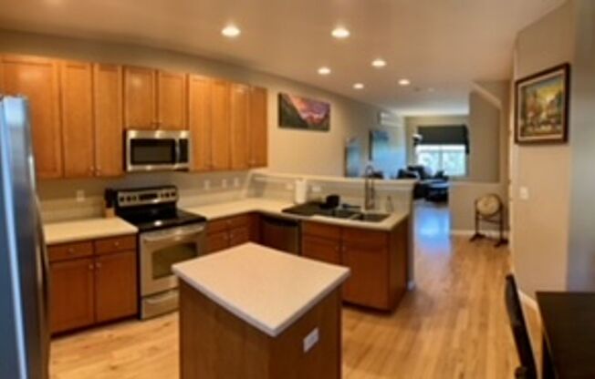 Downtown Executive Fully Furnished 2 Bed, 4 Bath Townhouse