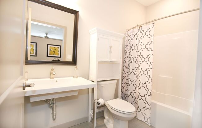 1 bed, 1 bath, 552 sqft, $1,220