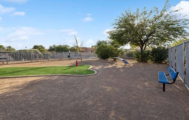 Community Dog Park with Agility Equipment at Tanque Verde Apartments located in Tucson, AZ.