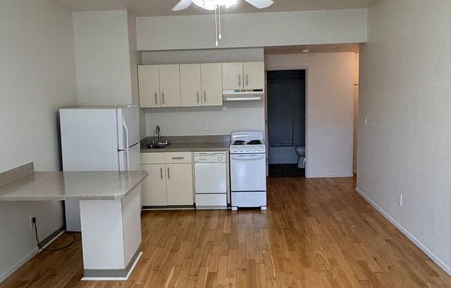 1 bed, 1 bath, 400 sqft, $995, Unit 206