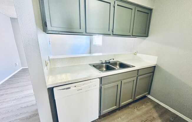 Studio, 1 bath, 500 sqft, $795, Unit 103
