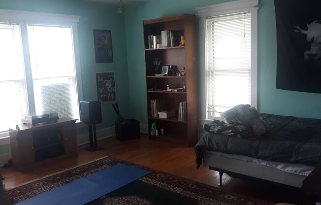 Huge sunny vintage 4bedroom apartment