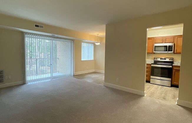 1 bed, 1 bath, 745 sqft, $1,690, Unit 14235 #304