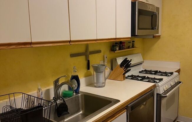1 bed, 1 bath, $2,800, Unit 703