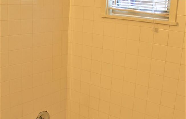 1 bed, 1 bath, 500 sqft, $2,100, Unit 110