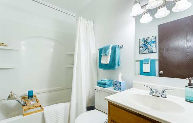 a bathroom with a white sink and toilet next to a bathtub with a shower curtain