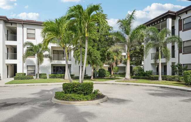A palm tree in front of a white building.