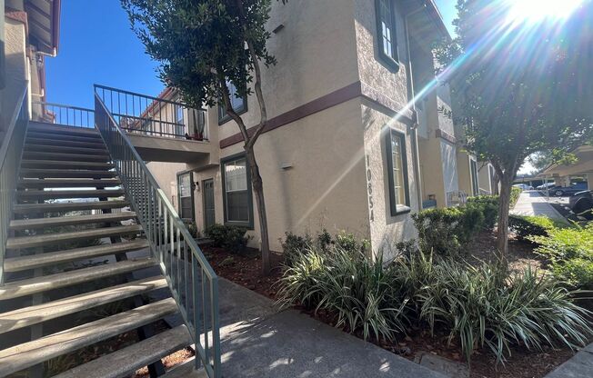 1 bed, 1 bath, $2,200, Unit Unit 244