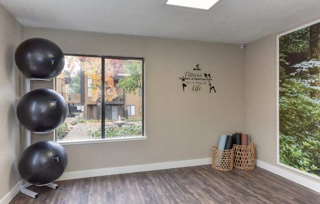 Community Yoga Studio with Hardwood Inspired Floor, Yoga Balls, Large Window and Wicker Basket with Yoga Mats