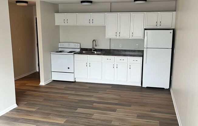 1 bed, 1 bath, 600 sqft, $1,100