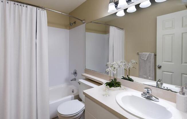 1 bed, 1 bath, 810 sqft, $2,395, Unit C102