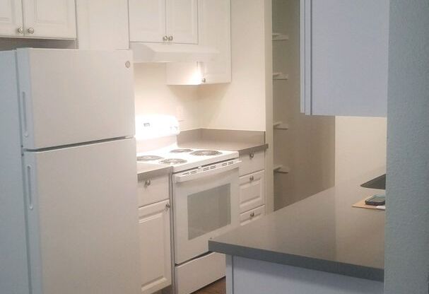 1 bed, 1 bath, 750 sqft, $1,500, Unit C203