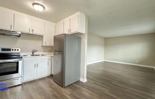 Imperial Beach Palms