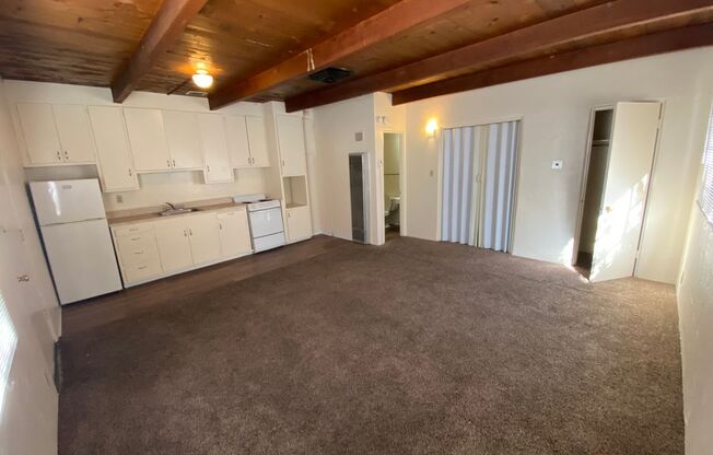 Studio, 1 bath, 400 sqft, $725, Unit 1620-8