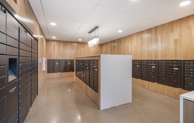Electronic Parcel Locker & Mail Room