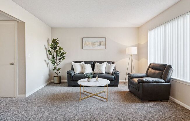 a living room with two couches and a coffee table