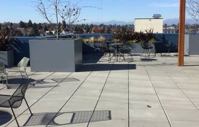 Studio, 1 bath, 355 sqft, $1,233, Unit 407