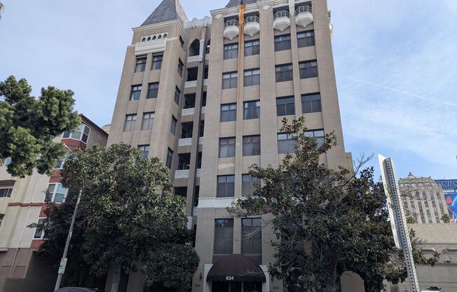 Studio, , 250 sqft, $1,199, Unit 602