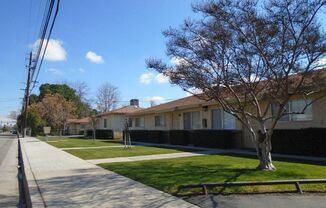 PALM ST 2315 A-G