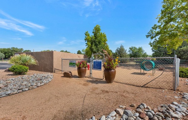 Dog Park Training Obstacles Inside Fenced Area