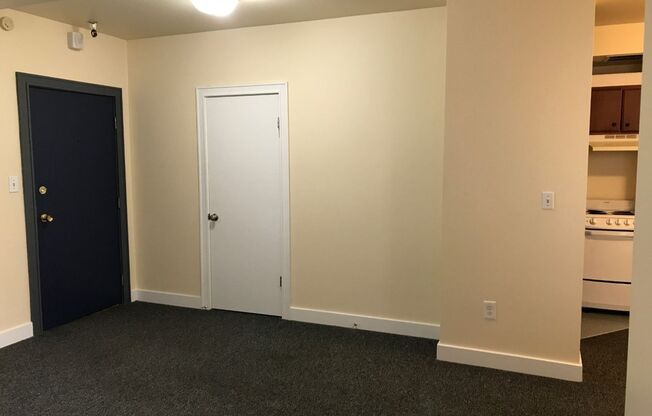 Studio, 1 bath, 392 sqft, $975, Unit 412