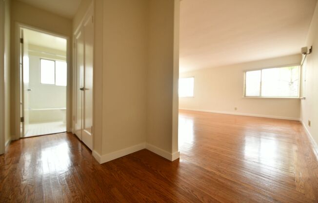 1p439 - 301 Lester Ave.