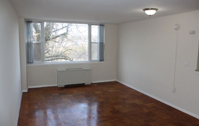 Studio, 1 bath, 389 sqft, $1,775, Unit 1845-403