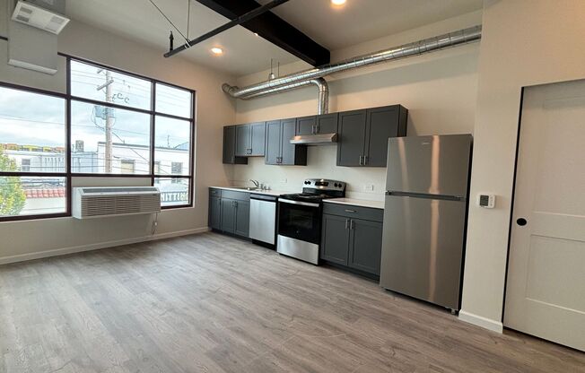 Studio, 1 bath, 398 sqft, $1,250, Unit 207