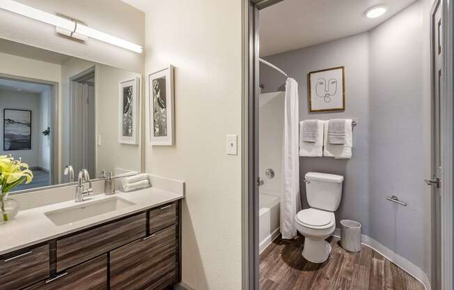 a bathroom with a mirror and a sink and a toilet at Paisley and Pointe Apartments, Nevada