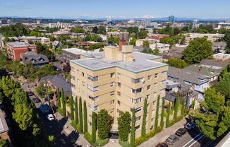 1 bed, 1 bath, 550 sqft, $1,350, Unit 206