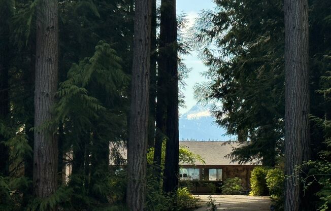 Absolutely Stunning ..... no detail overlooked with the construction of this new  home