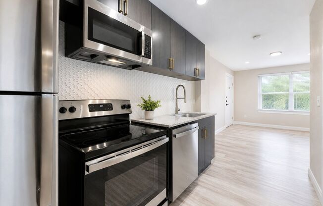 Studio, 1 bath, 325 sqft, $735, Unit 127