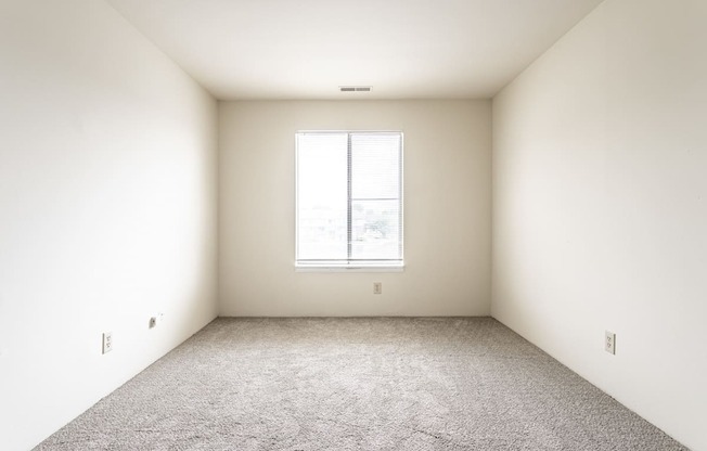A room with a carpeted floor and a window.