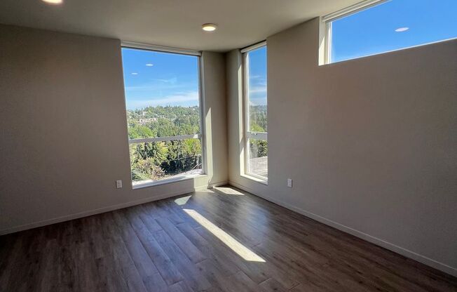 Studio, 1 bath, 295 sqft, $1,495, Unit 702