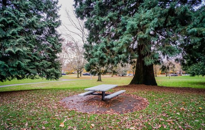 3 beds, 1 bath, 950 sqft, $1,620, Unit C-08