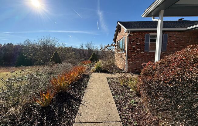 5802 Roach Ridge - Spectacular view of the Blue Ridge Mountains!