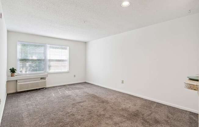 A room with a window and a carpeted floor.