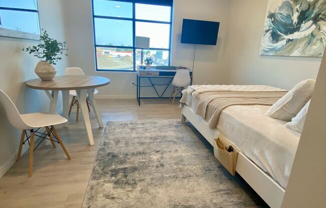 Studio, 1 bath, 365 sqft, $1,015, Unit 221