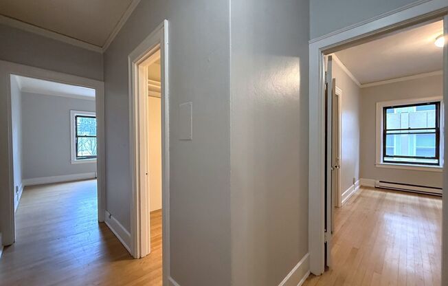 1 bed, 1 bath, 540 sqft, $1,595, Unit 314