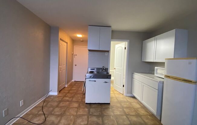 Studio, 1 bath, $599, Unit #245