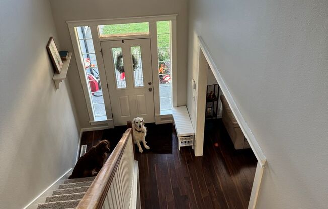 RARE! 5 Bedroom Rental Home pre-leasing for the end of February! Entertainers' Paradise - Pet Friendly