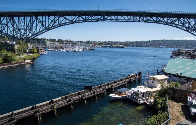 1 bed, 1 bath, 737 sqft, $1,795, Unit 302