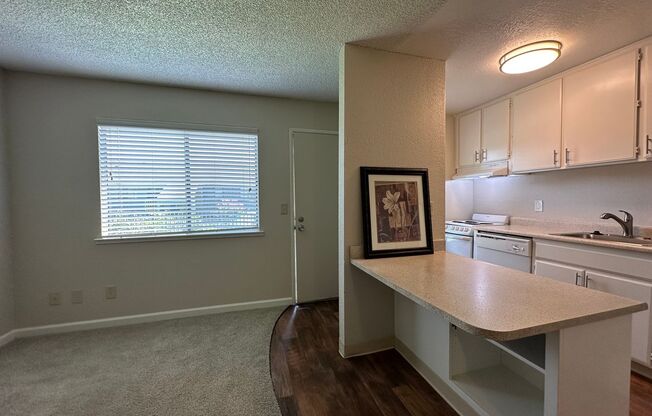 1 bed, 1 bath, $1,295, Unit 53