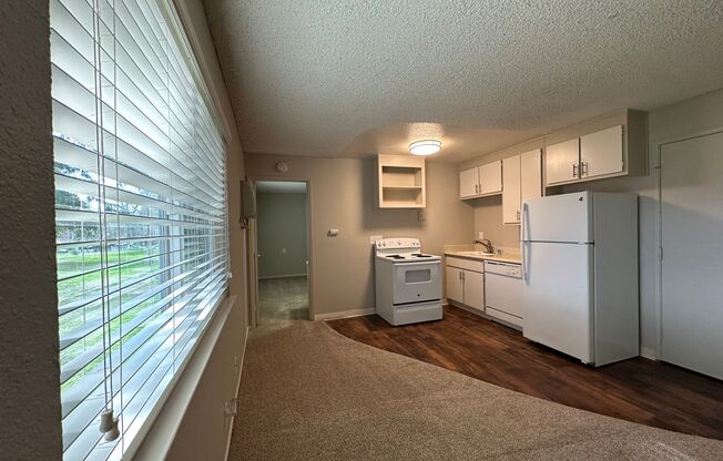 1st 30 Days Free, $1,000 Moves You in Today!  Great Location, Great Price, Close to it All!
