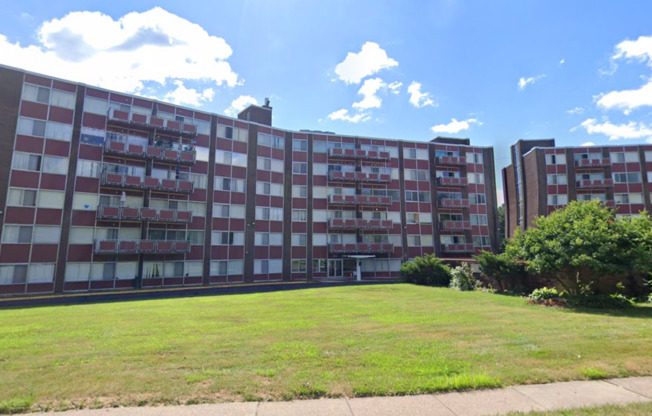 The Park Ridge Mid-Century Condo