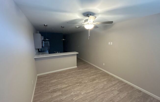 Studio, 1 bath, 500 sqft, $995, Unit 24