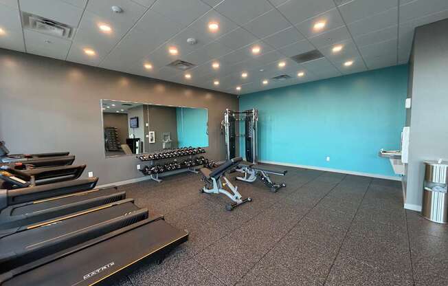A gym with treadmills, weights, and a mirror.