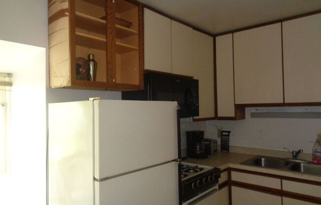 Studio, 1 bath, $1,050