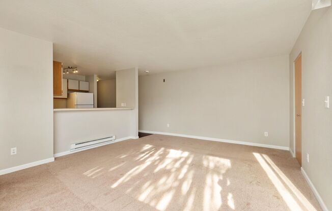 Studio, 1 bath, 504 sqft, $1,646, Unit 410